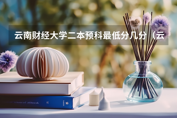 云南财经大学二本预科最低分几分（云南最低分的公办本科学校）