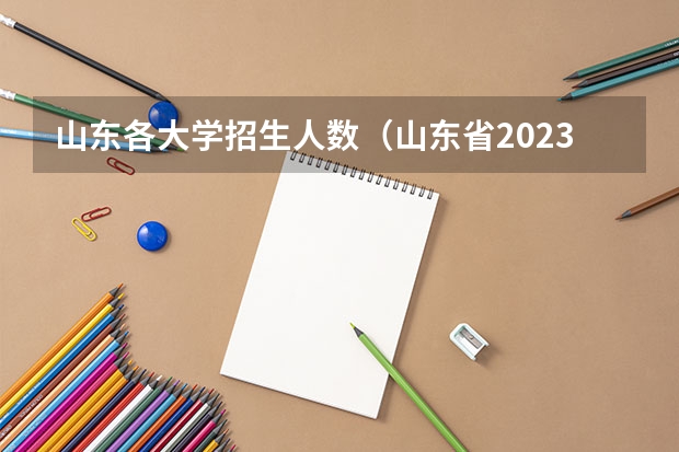 山东各大学招生人数（山东省2023年专升本录取人数）