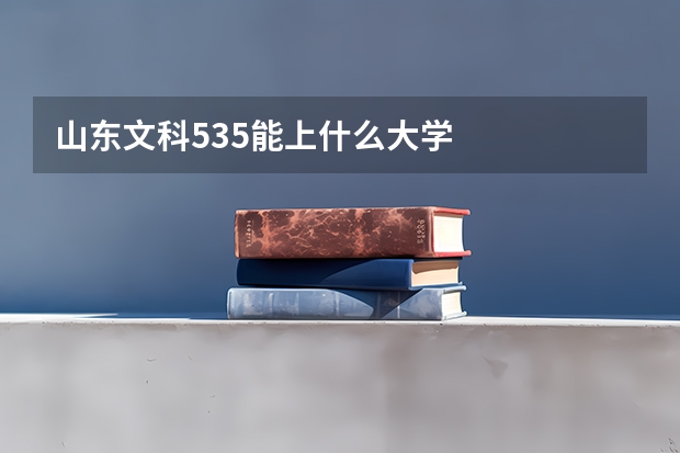 山东文科535能上什么大学