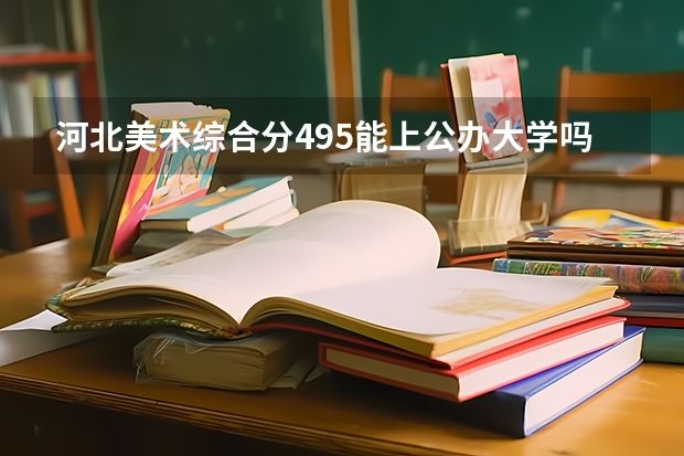 河北美术综合分495能上公办大学吗？