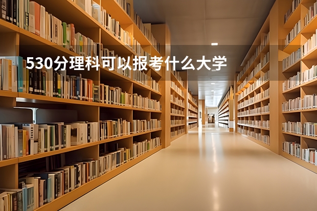 530分理科可以报考什么大学