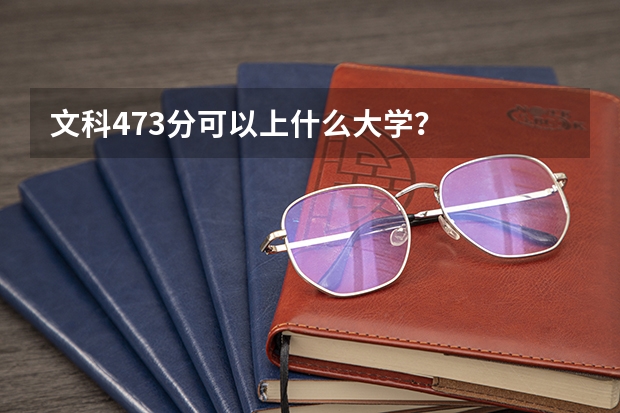 文科473分可以上什么大学？