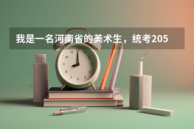 我是一名河南省的美术生，统考205分，可以走省内的哪些学校