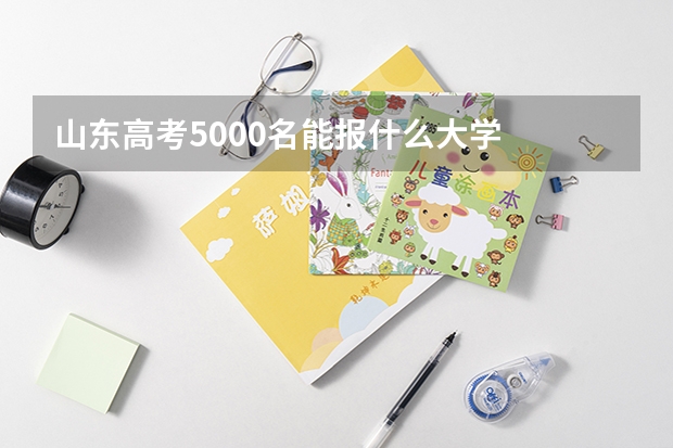 山东高考5000名能报什么大学