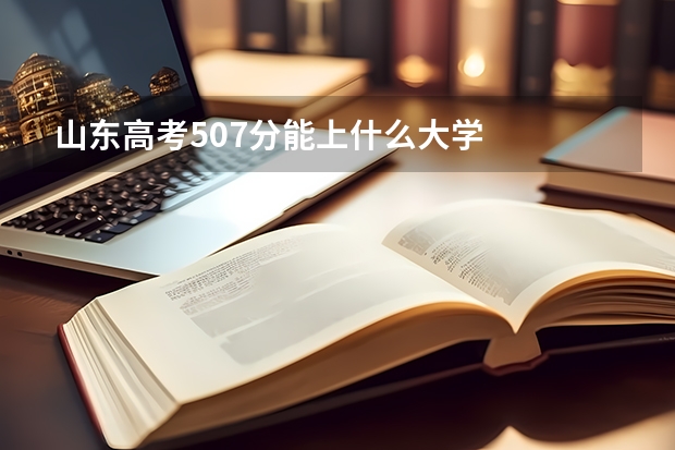 山东高考507分能上什么大学