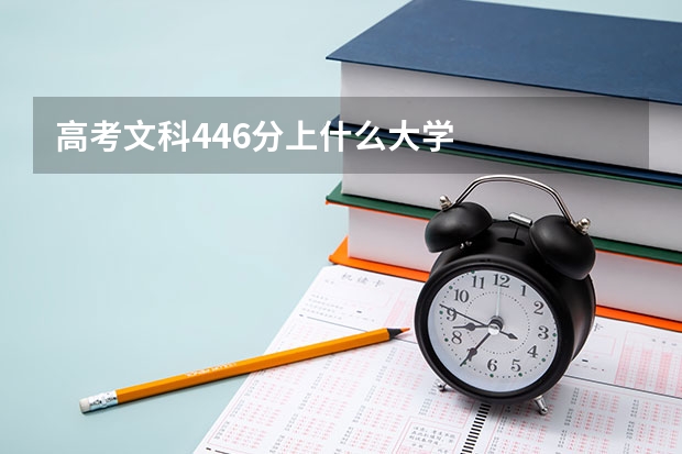 高考文科446分上什么大学