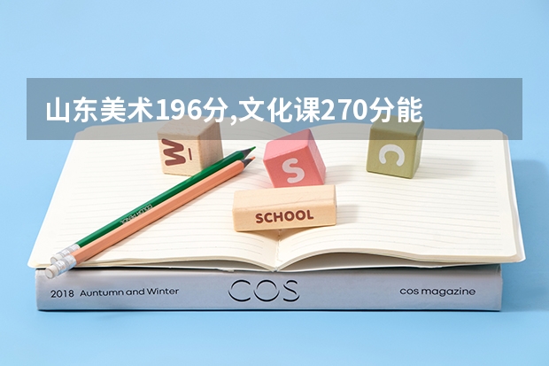 山东美术196分,文化课270分能上什么大学