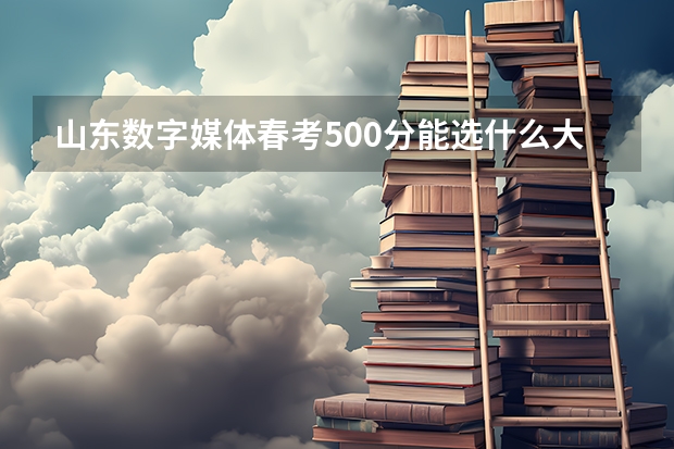 山东数字媒体春考500分能选什么大学