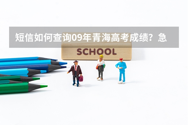 短信如何查询09年青海高考成绩？急啊~~~~~~