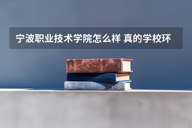 宁波职业技术学院怎么样 真的学校环境真的像学校网站那样的漂亮吗 还有学校宿舍条件如何