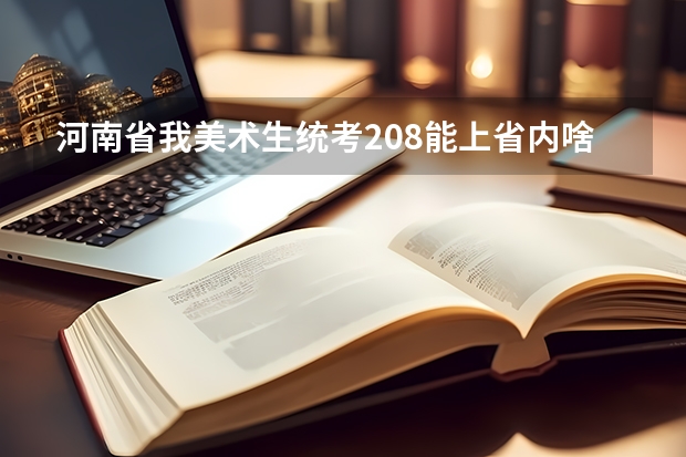 河南省我美术生统考208能上省内啥学校.如果可以高考要考多少分？