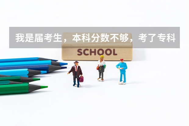 我是届考生，本科分数不够，考了专科，上专科呢还是辍学？