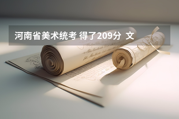 河南省美术统考 得了209分  文化课大概可以410 能在郑州上哪些二本?