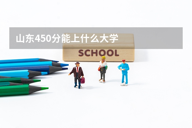 山东450分能上什么大学