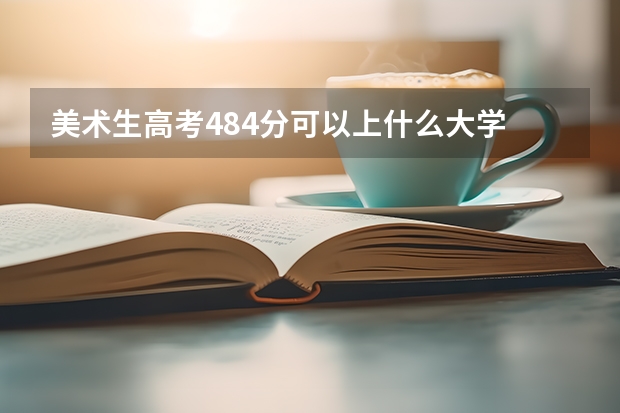 美术生高考484分可以上什么大学