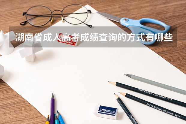 湖南省成人高考成绩查询的方式有哪些？