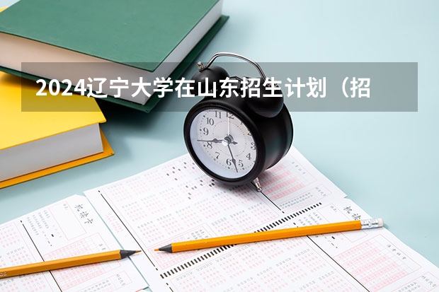 2024辽宁大学在山东招生计划（招生人数）