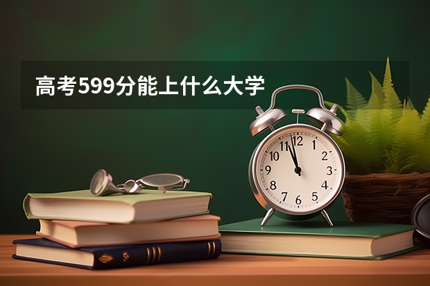 高考599分能上什么大学