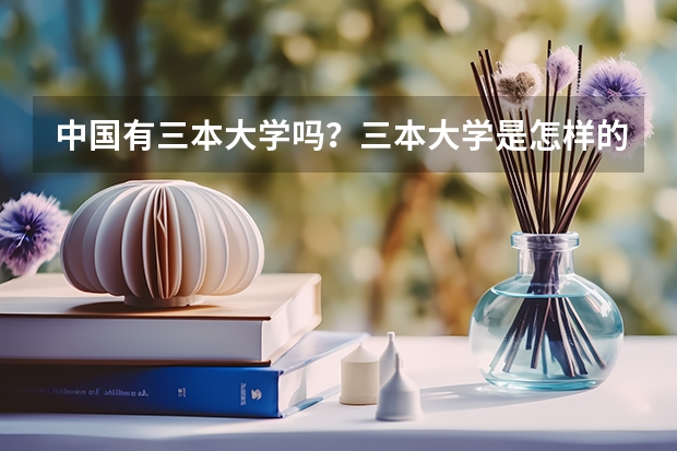 中国有三本大学吗？三本大学是怎样的呢？