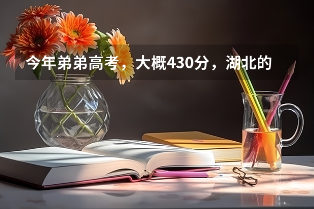 今年弟弟高考，大概430分，湖北的考生，想报土木工程，不知道武汉哪个学校有土木工程的三本，学校好点