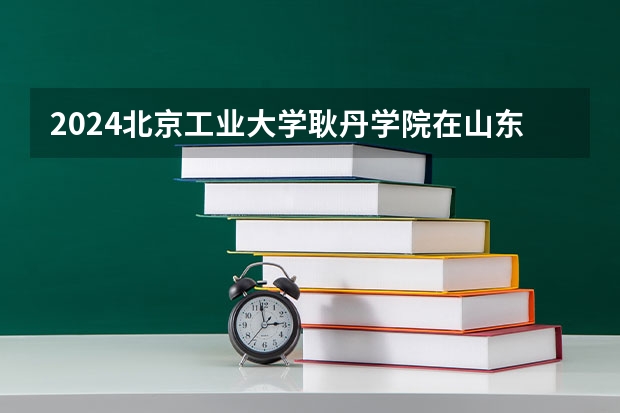 2024北京工业大学耿丹学院在山东招生计划（招生人数）