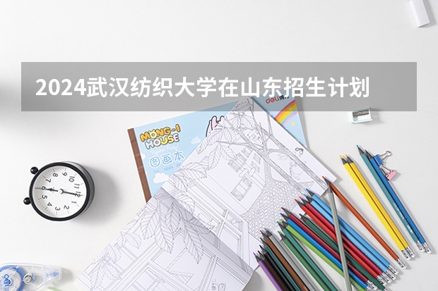2024武汉纺织大学在山东招生计划（招生人数）