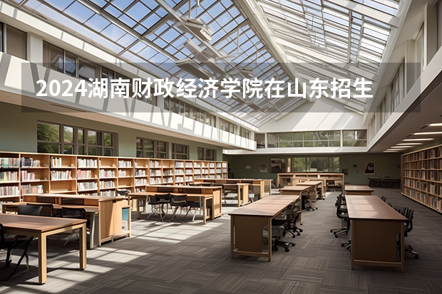 2024湖南财政经济学院在山东招生计划（招生人数）
