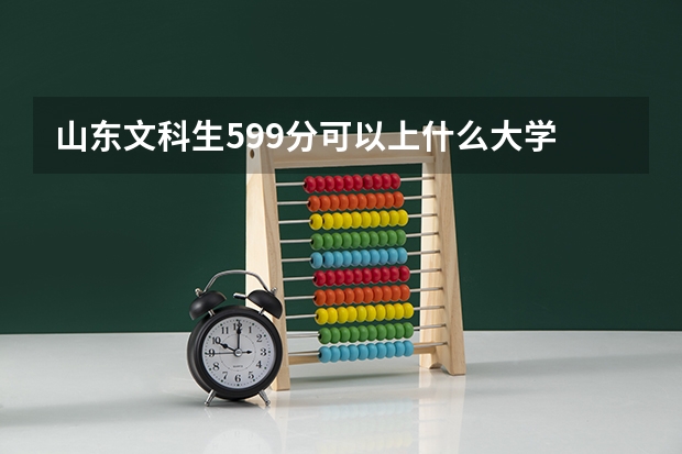 山东文科生599分可以上什么大学