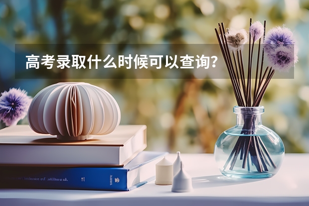 高考录取什么时候可以查询？