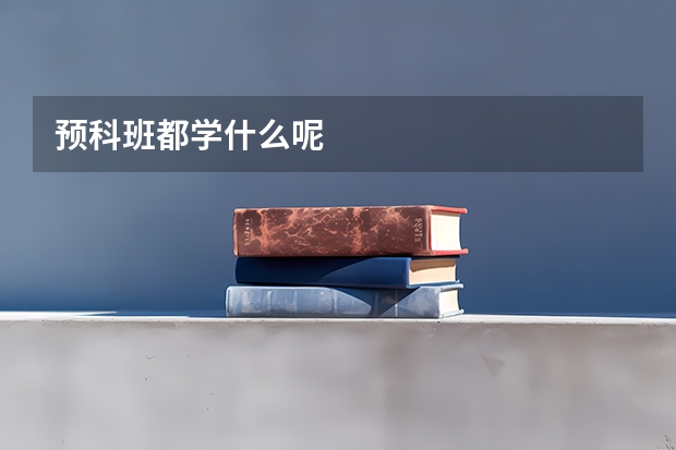 预科班都学什么呢