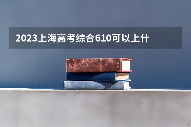 2023上海高考综合610可以上什么大学