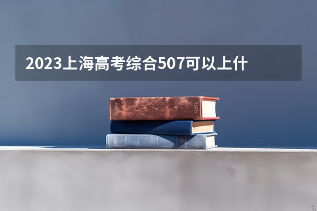 2023上海高考综合507可以上什么大学