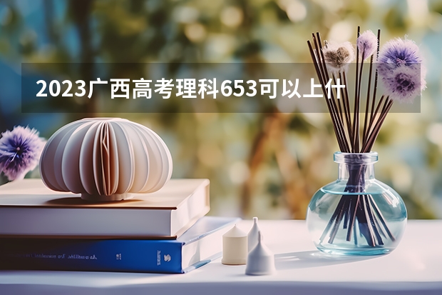 2023广西高考理科653可以上什么大学