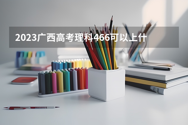 2023广西高考理科466可以上什么大学