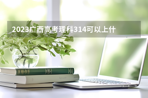 2023广西高考理科314可以上什么大学