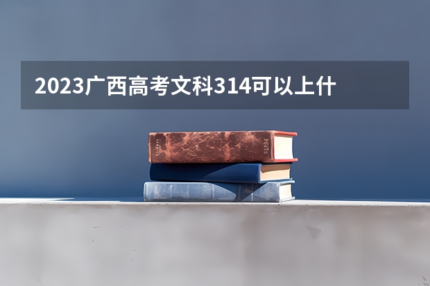 2023广西高考文科314可以上什么大学