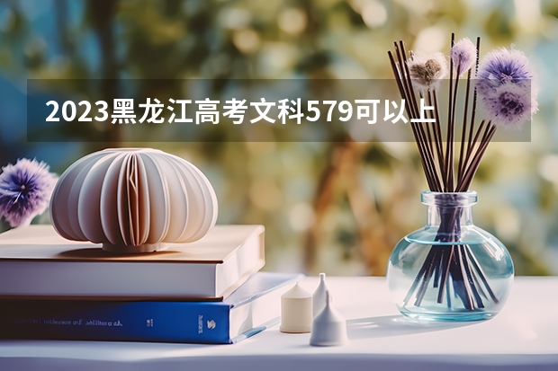 2023黑龙江高考文科579可以上什么大学