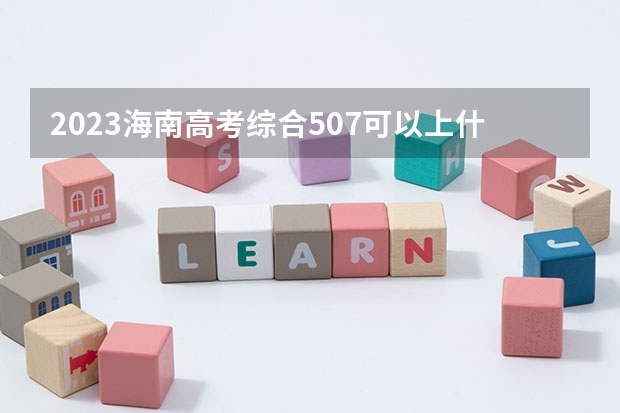 2023海南高考综合507可以上什么大学