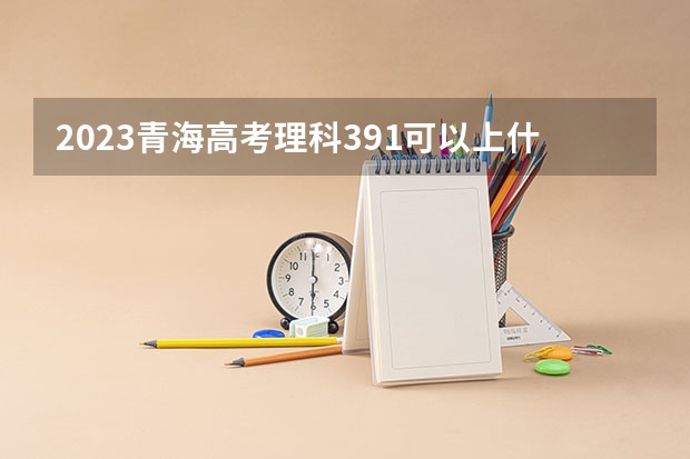 2023青海高考理科391可以上什么大学