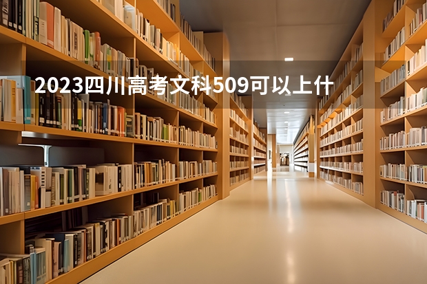 2023四川高考文科509可以上什么大学