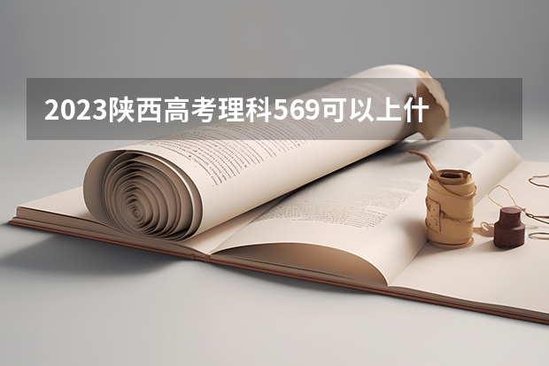 2023陕西高考理科569可以上什么大学