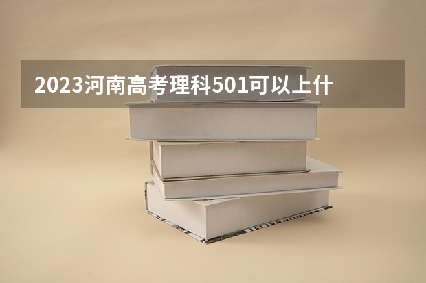 2023河南高考理科501可以上什么大学