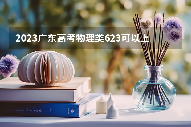 2023广东高考物理类623可以上什么大学