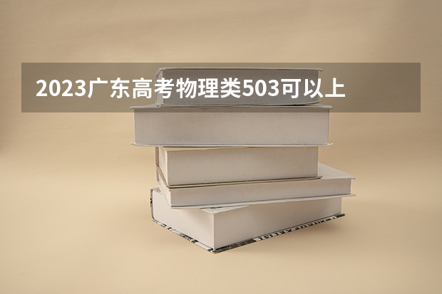 2023广东高考物理类503可以上什么大学