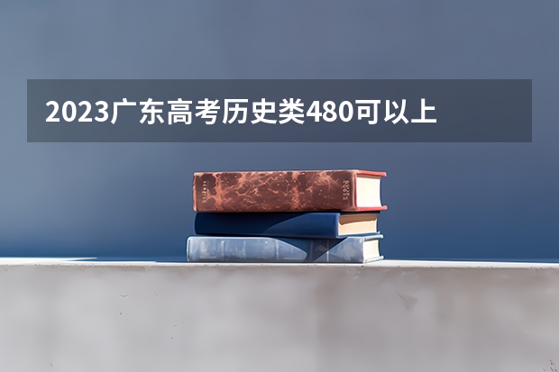 2023广东高考历史类480可以上什么大学