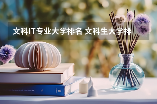 文科IT专业大学排名 文科生大学排名