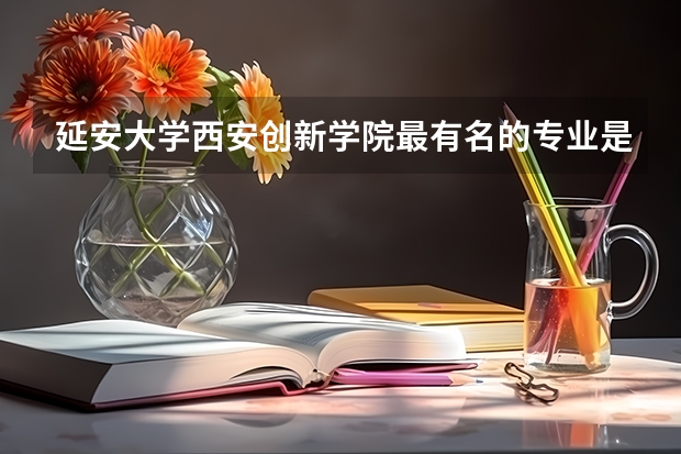 延安大学西安创新学院最有名的专业是什么？