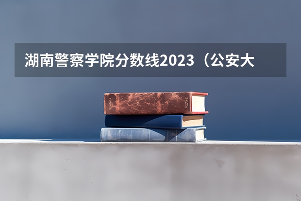 湖南警察学院分数线2023（公安大学录取分数线）