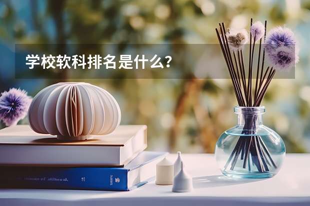 学校软科排名是什么？