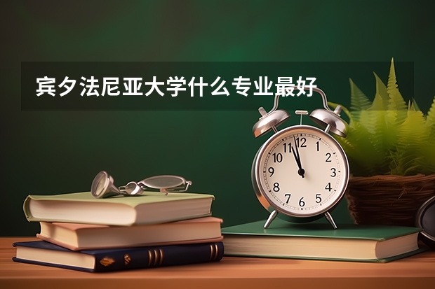 宾夕法尼亚大学什么专业最好